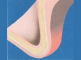 Bild 8a Image